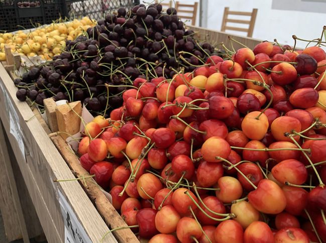 Bakı və Abşeronda “Kənddən Şəhərə” həftəsonu yarmarkaları keçiriləcək - ÜNVANLAR