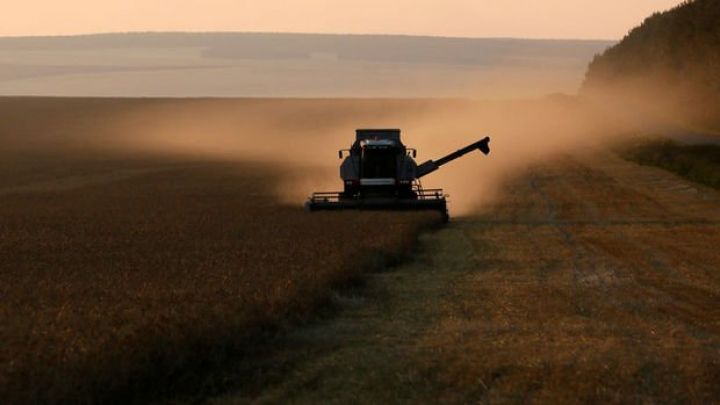 Hindistanın qadağa qərarı ilə buğda qiymətləri daha da yüksəlib