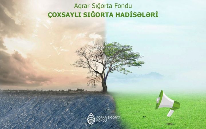 Arar Sığorta Fondu hava şəraiti ilə əlaqədar təsərrüfatlara dəymiş zərəri müəyyənləşdirməyə başlayıb