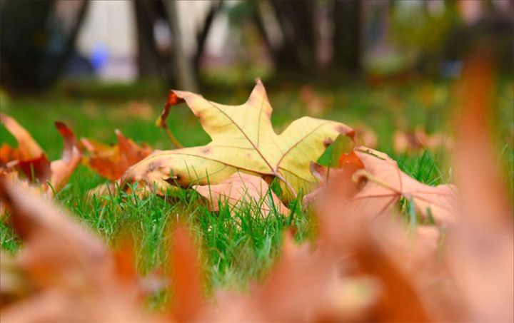 Dekabrın 9-da gözlənilən hava şəraiti