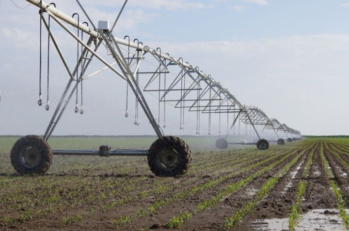 Yüksək gəlirli kənd təsərrüfatı müəssisələri satışa çıxarıldı - QİYMƏTLƏR