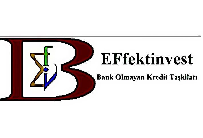 "Effektinvest" böyüyüb, gəlirləri və xalis mənfəəti artıb