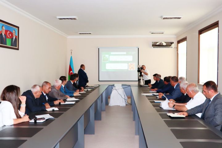 Naxçıvanda yüksək əkin subsidiyası məbləğləri təyin edilib